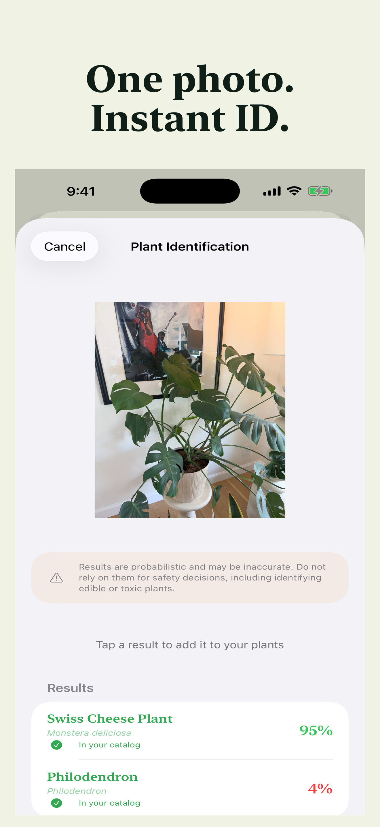 FloraVibes screenshot 03 — Plant ID